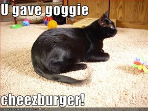 U gave goggie   cheezburger!