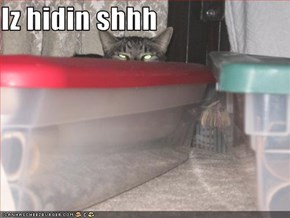 Iz hidin shhh