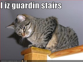 I iz guardin stairs