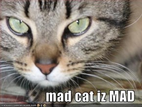 mad cat iz MAD