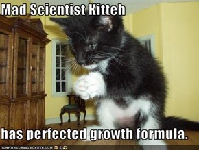 Mad Scientist Kitteh  has perfected growth formula.