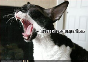 <--- insert cheezburger here