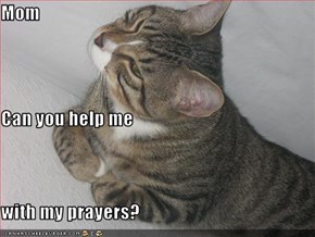 Mom Can you help me with my prayers?