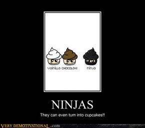 Ninjas Are Masters of Disguise