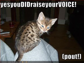 yesyouDIDraiseyourVOICE!  (pout!)