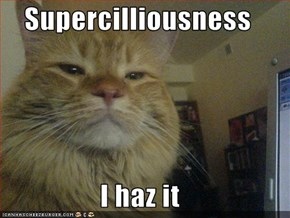 Supercilliousness  I haz it