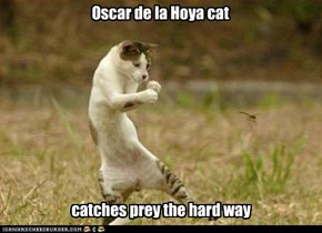 Oscar de la Hoya cat