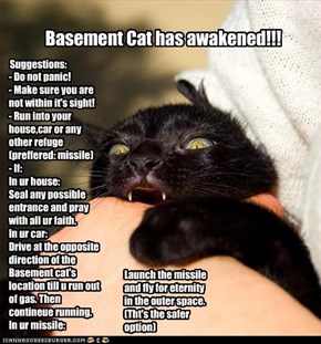 Basement Cat Alert