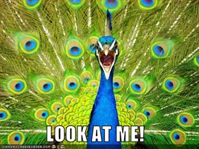 LOOK AT ME!