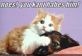 noes!  you kant habes him!