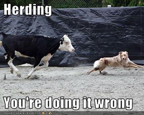 Herding   You're doing it wrong