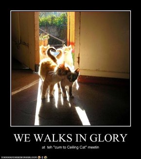 WE WALKS IN GLORY