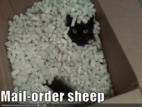 Mail-order sheep