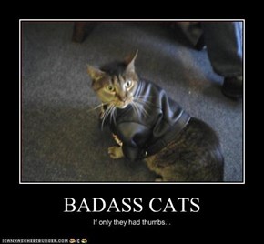 BADASS CATS