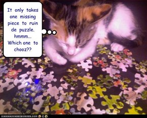 It  only  takes  one  missing  piece  to  ruin  de  puzzle.  hmmm...  Which one  to  chooz??