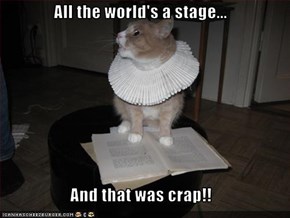 All the world's a stage...  And that was crap!!