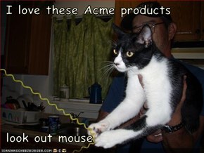 I love these Acme products   look out mouse