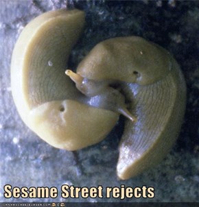 Sesame Street rejects