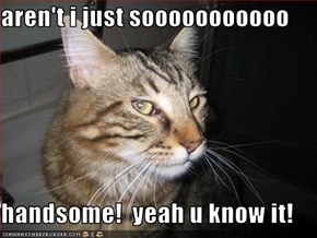 aren't i just sooooooooooo  handsome!  yeah u know it!