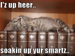 I'z up heer..  soakin up yur smartz..