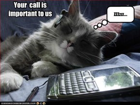Your call is important to us