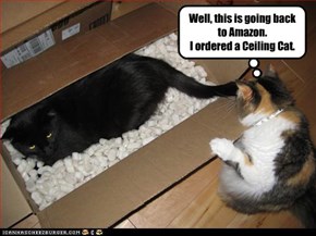 Well, this is going back to Amazon. I ordered a Ceiling Cat.
