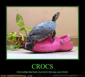 Turtles & Crocs Don't Mix