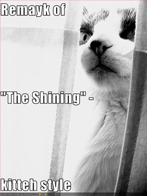 Remayk of  "The Shining" - kitteh style