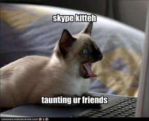 skype kitteh