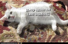Upside-downness (Plus spam)