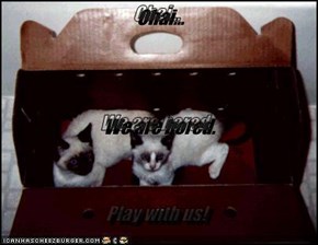 Ohai... We are bored. Play with us!