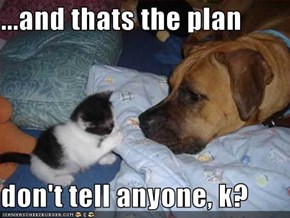 ...and thats the plan  don't tell anyone, k?
