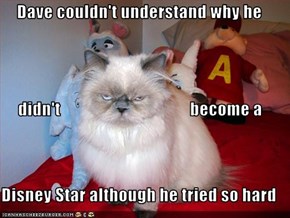 Dave couldn't understand why he      didn't                                      become a Disney Star although he tried so hard