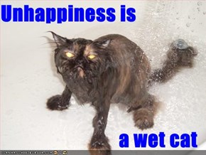 Unhappiness is  a wet cat
