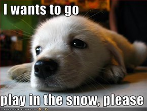 I wants to go    play in the snow, please