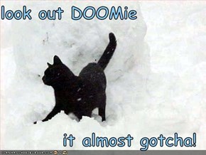 look out DOOMie     it almost gotcha!