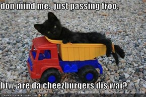 don mind me.  just passing froo.  btw, are da cheezburgers dis wai?