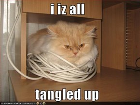 i iz all  tangled up