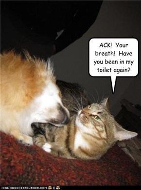 ACK!  Your breath!  Have you been in my toilet again?
