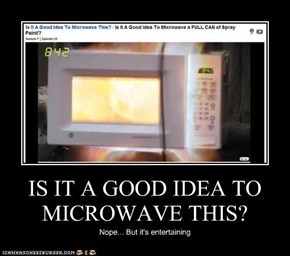 IS IT A GOOD IDEA TO MICROWAVE THIS?