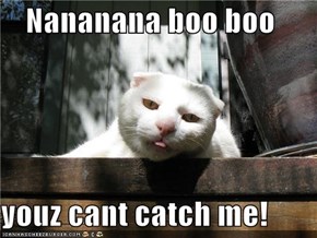 Nananana boo boo  youz cant catch me!