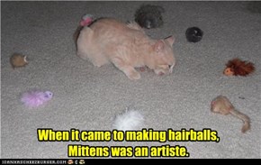 When it came to making hairballs, Mittens was an artiste.
