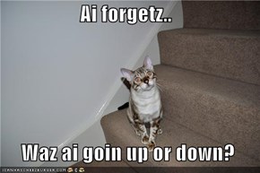 Ai forgetz..    Waz ai goin up or down?