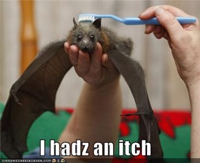 I hadz an itch
