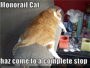 Monorail Cat  haz come to a complete stop