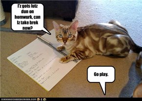 I'z gots lutz dun on homwurk, can Iz take brek now?