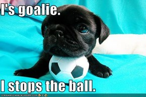 I's goalie.  I stops the ball.