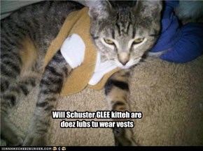 Will Schuster GLEE kitteh are doez lubs tu wear vests