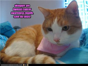 oktopurr are  bweast cancer awareness month.  save da tatas!