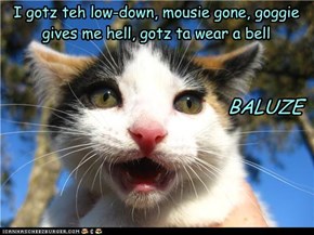 I gotz teh low-down, mousie gone, goggie gives me hell, gotz ta wear a bell